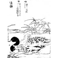 真鴨 - 絵本通宝志(享保14年・1729年）