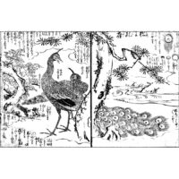 孔雀・九徳 - 絵本写宝袋(享保5年・1720年）