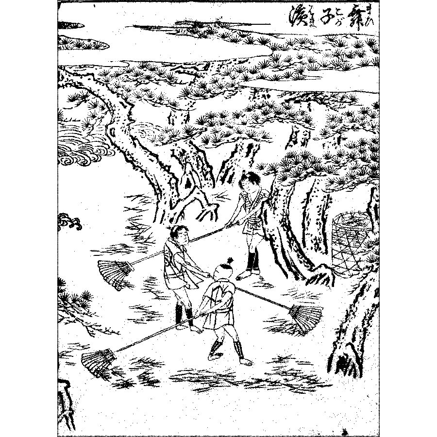 松葉掻き - 絵本通宝志(享保14年・1729年)