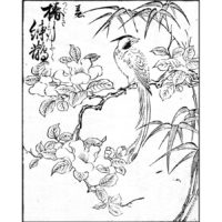 椿に寿帯鳥 - 書名不明(正徳前後・1710年前後)