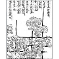 菊に籬 - 絵本通宝志(享保14年・1729年）