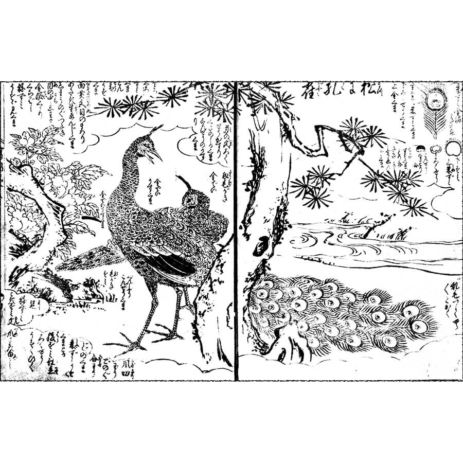 孔雀・九徳 - 絵本写宝袋(享保5年・1720年）