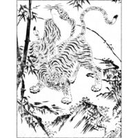 雌の虎 - 絵本通宝志(享保14年・1729年）