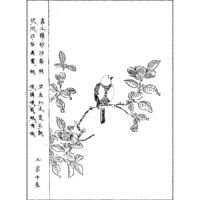 沙羅樹に碧鳥 - 画図百花鳥(享保14年・1729年