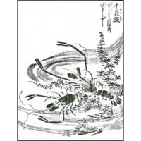 手長鰕 - 絵本通宝志(享保きょうほう14年・1729年)