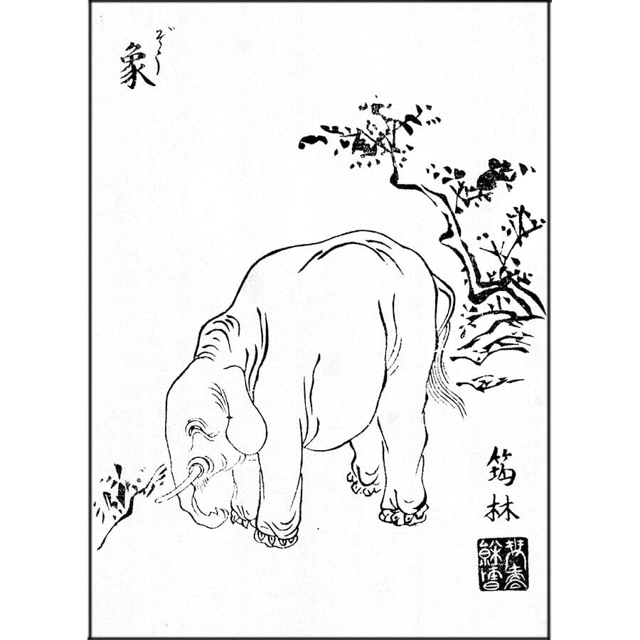 象 - 和漢衆画苑(宝暦9年・1759年)